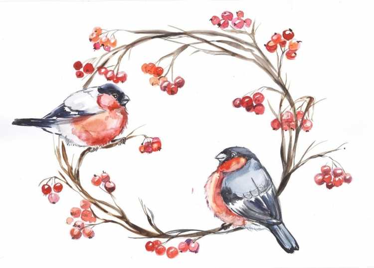 Снегирь раскраска с раскрытыми крыльями