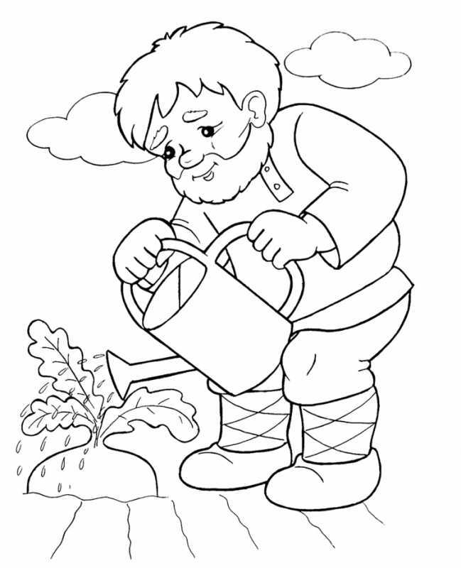 Раскраска. Репка