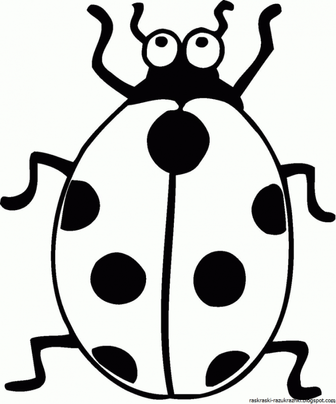 Божья Божья коровка раскраска для детей
