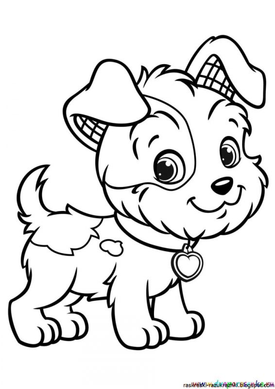 Раскраска собачка