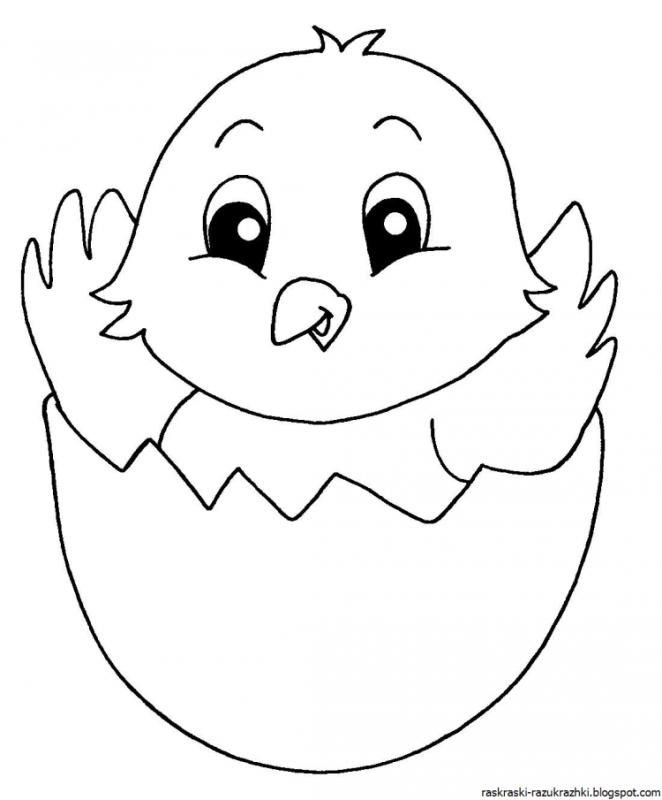 Котенок и цыпленок раскраска