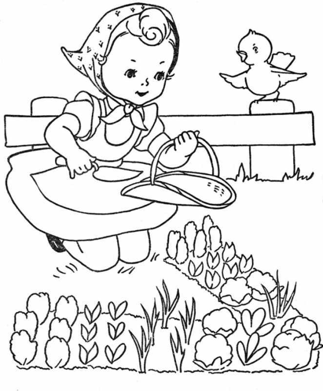 Птицы. Раскраска