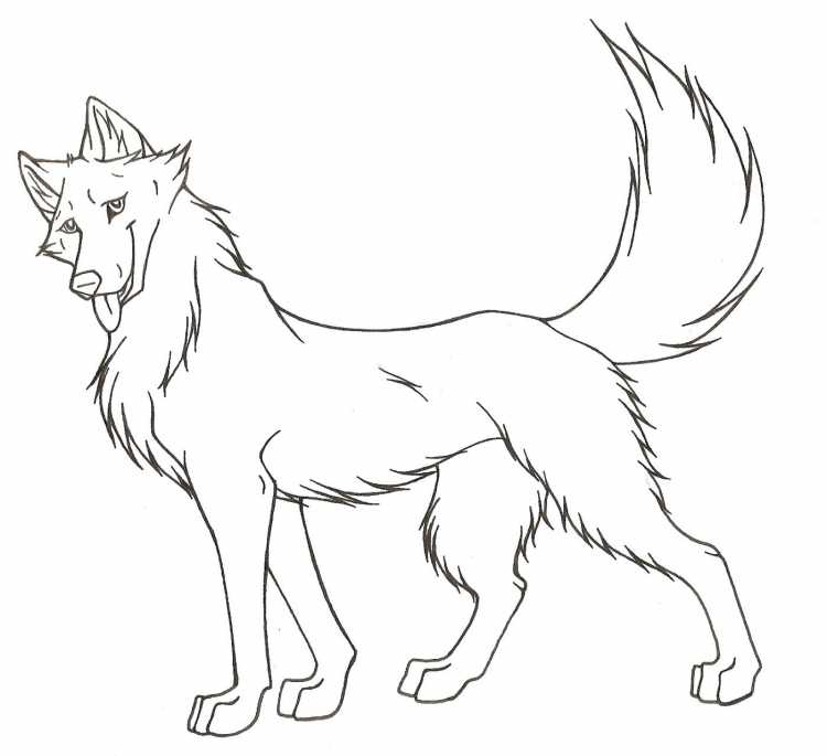 Раскраски волки аниме