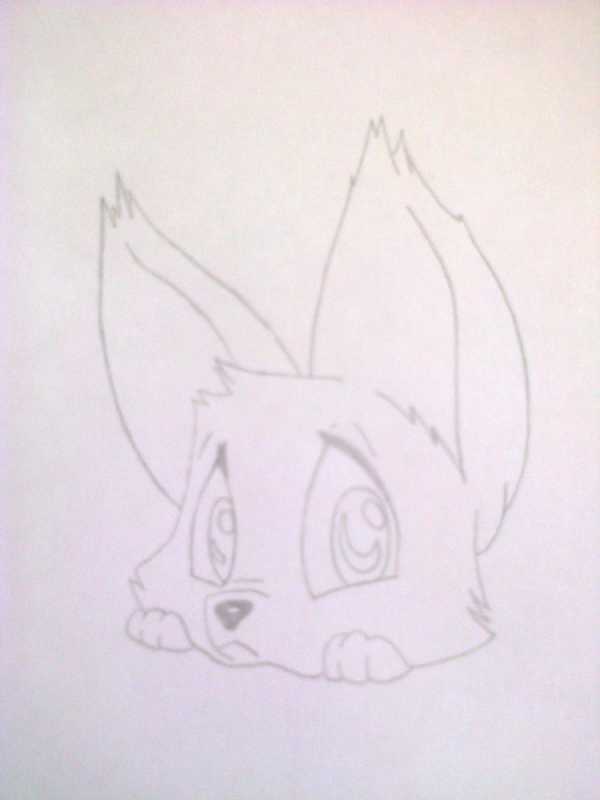 Рисунки аниме лисы карандашом для срисовки