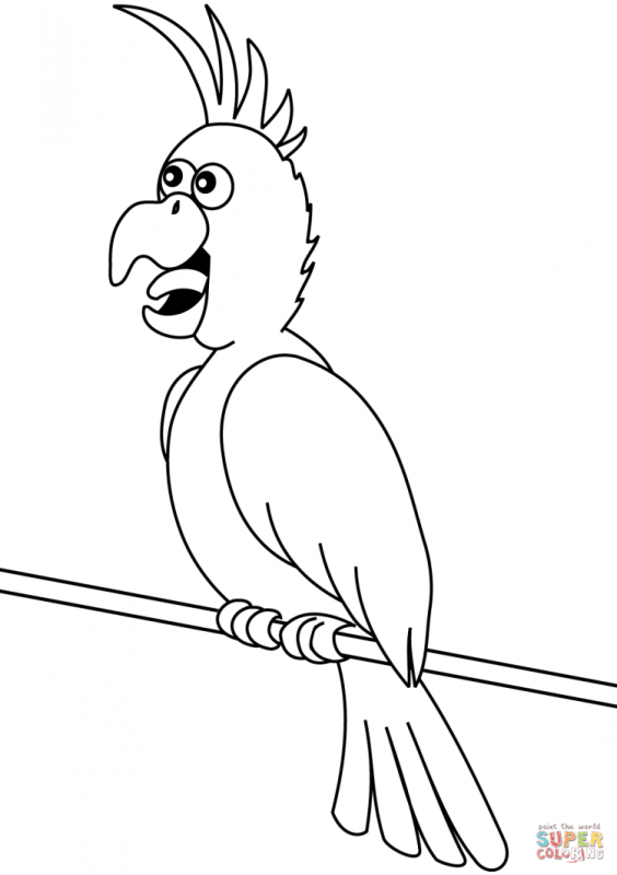 Раскраска попугай