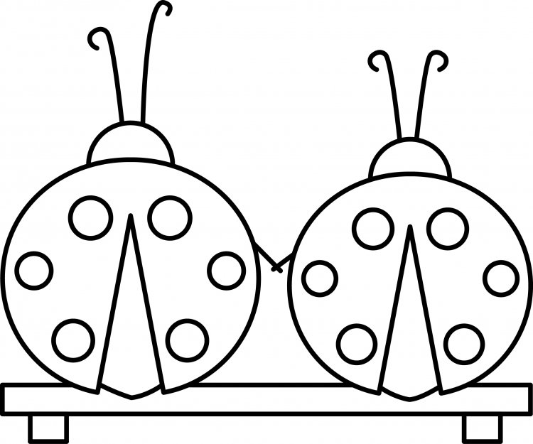 Раскраска насекомые Божья коровка