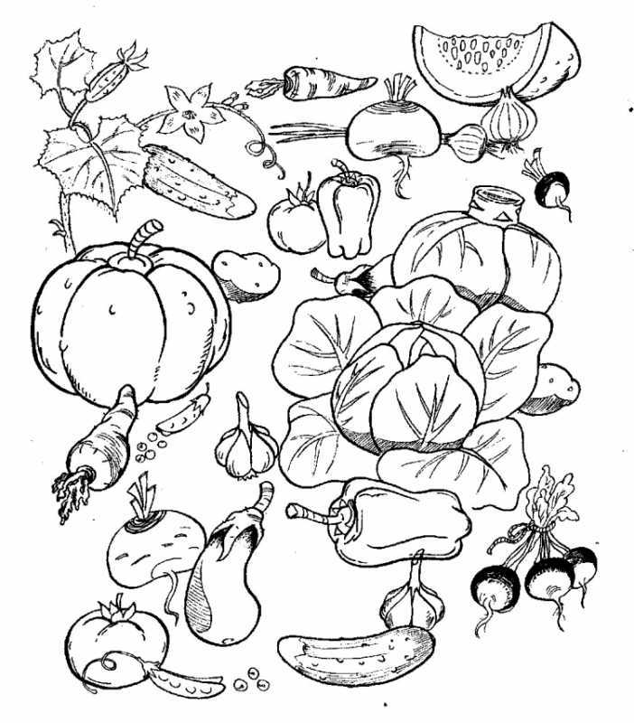 Овощи раскраска для детей