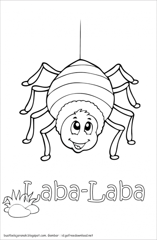 Паук раскраска