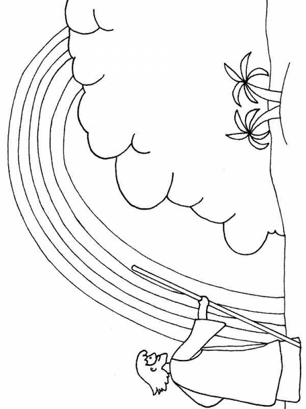 Раскраски на тему лето