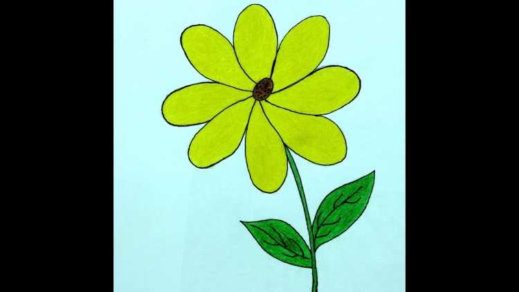 Рисование полевых цветов