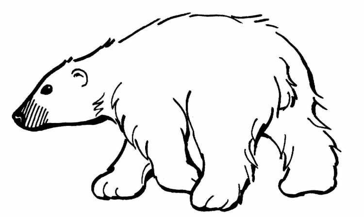 Нарисовать Арктику