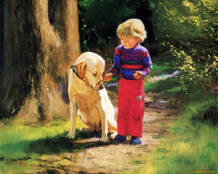 Детство Дональд Золан