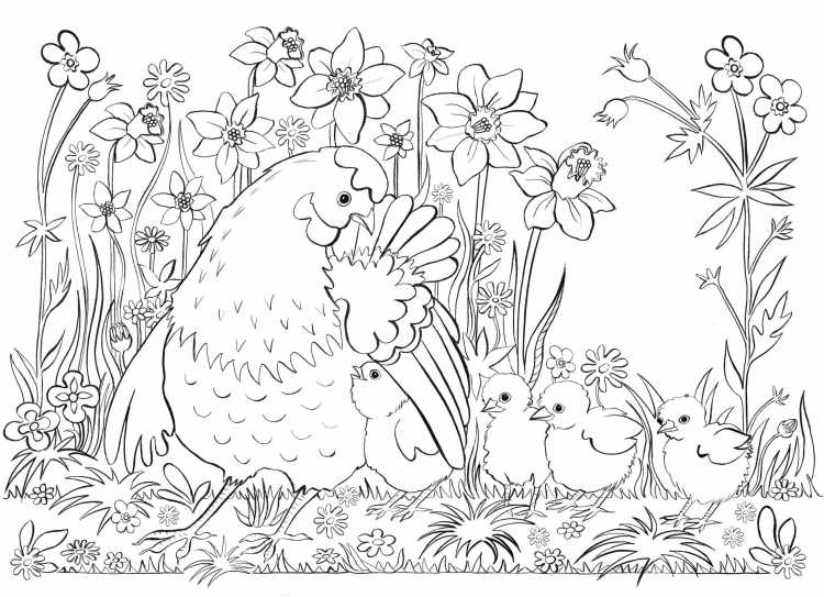 Сады. Раскраска