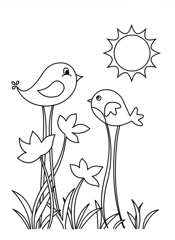 Птичка раскраска