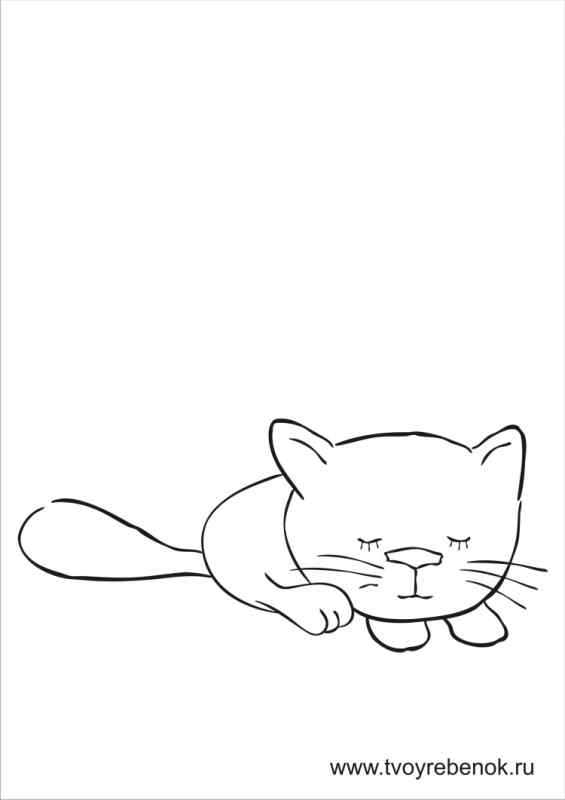 Котики для рисования для начинающих