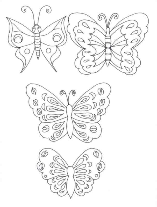 Схема бабочки рисунок