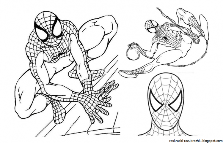 Ядовитые пауки раскраска