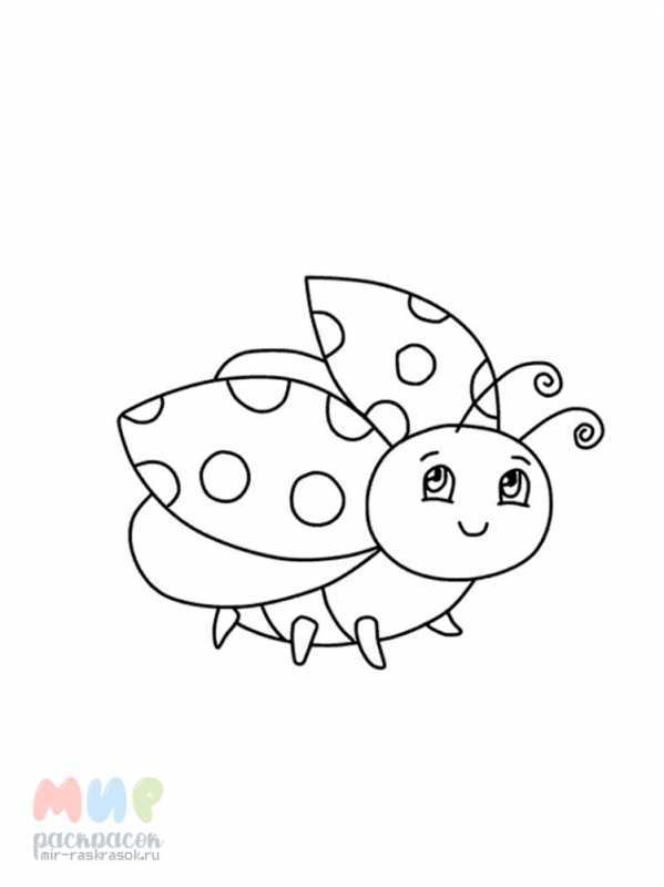 Бабочка и Божья коровка раскраска