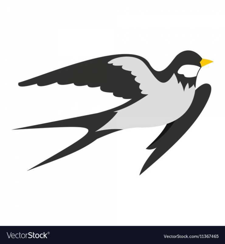 Ласточка рисунок раскраска