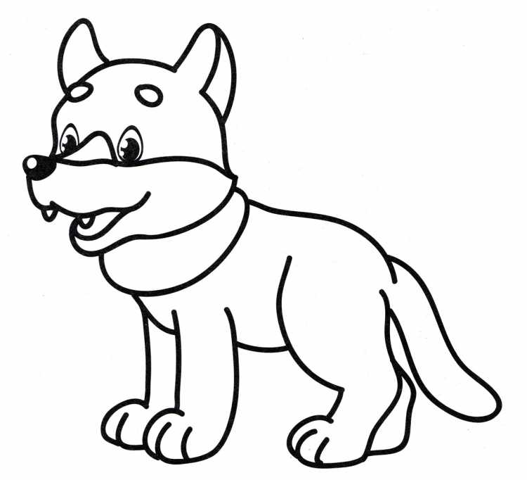 Волк под елкой раскраска