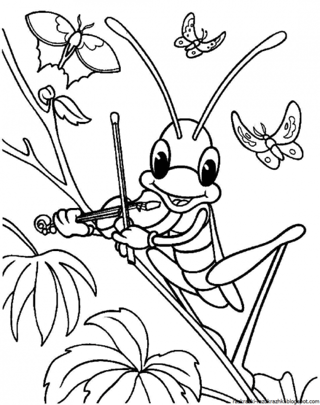 Разукрашки насекомые бабочки