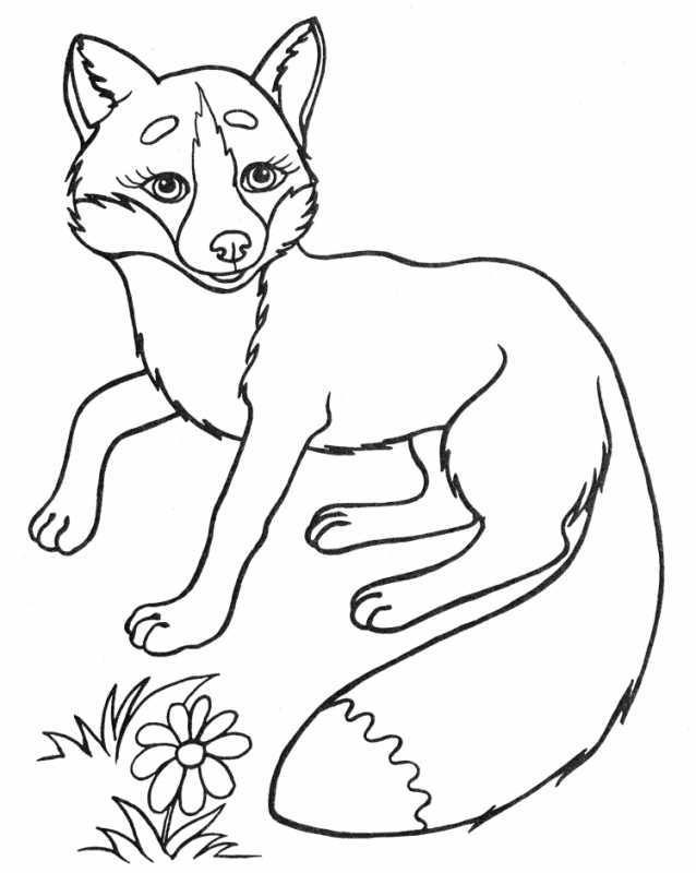 Лиса раскраска для детей