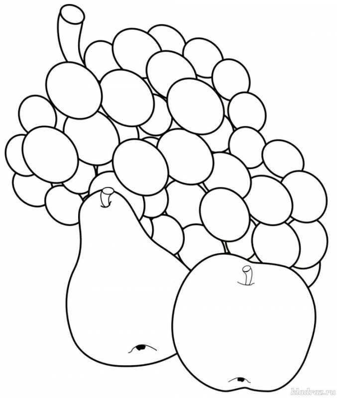 Лимон раскраска для малышей