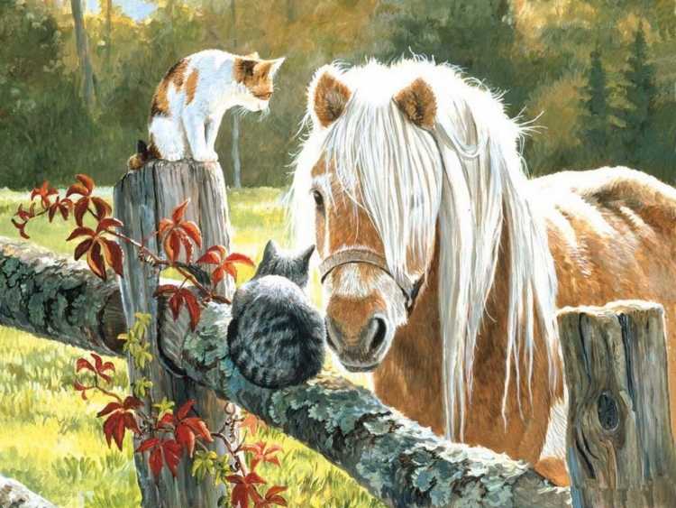 Persis Clayton Weirs художник лошадь