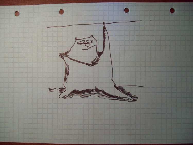 Рисунки ручкой для начинающих