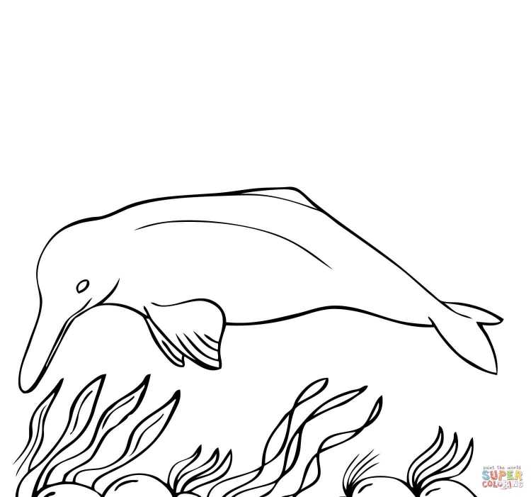 Раскраски морские обитатели Дельфин