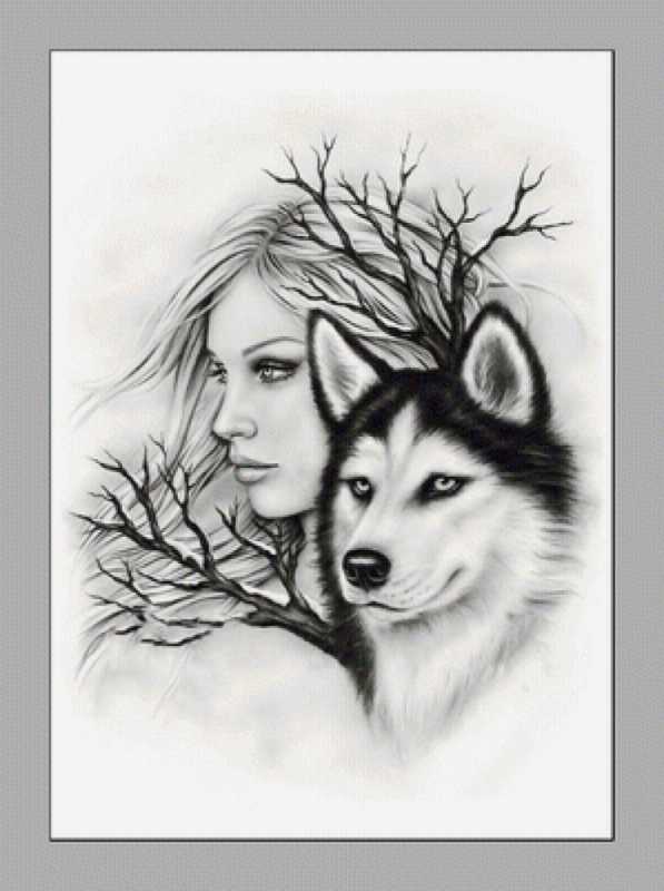 Красивые рисунки животных