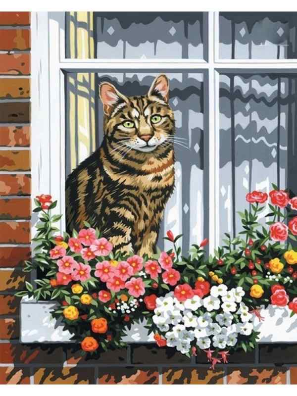 Кот на окне