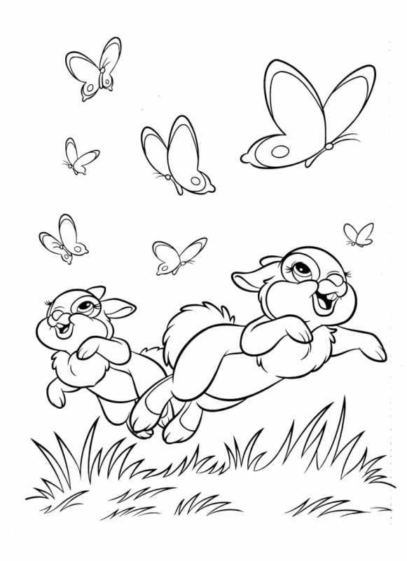 Раскраска кролик