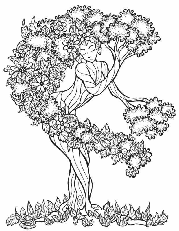 Дуб раскраска