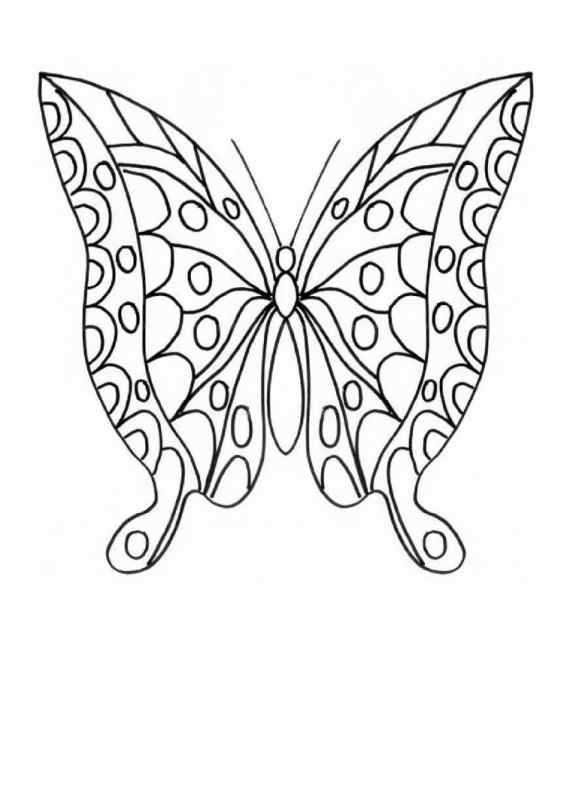 Раскрашенные бабочки