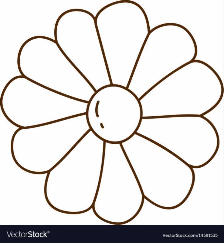 Раскраска цветок Ромашка