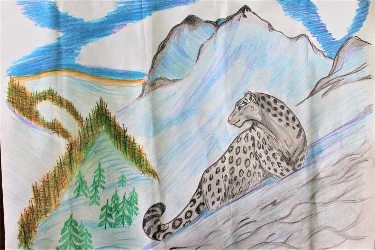 Рисунки редких животных карандашом