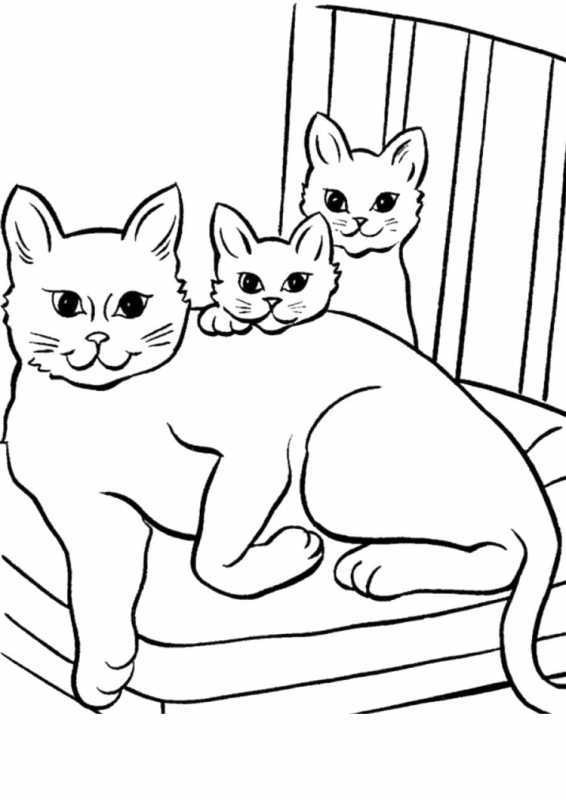 Кошка раскраска красивая