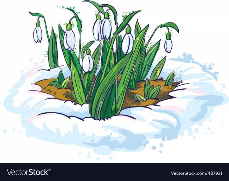 Сказка Подснежник Андерсен