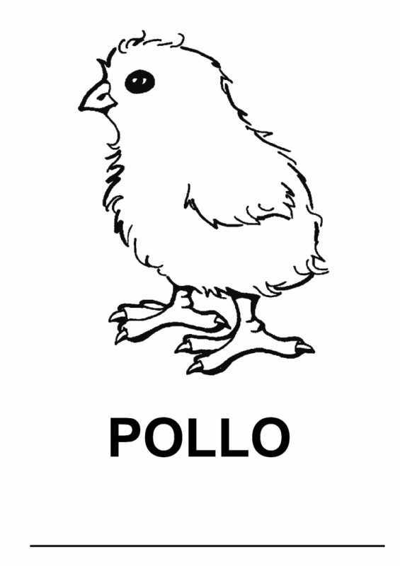 Утёнок раскраска для детей