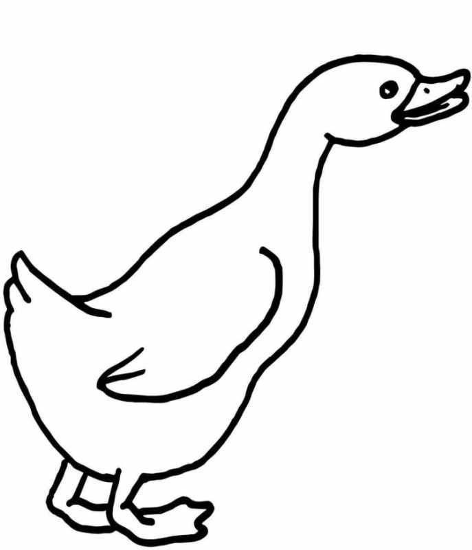 Bath Duck Brush Black and White Clipart