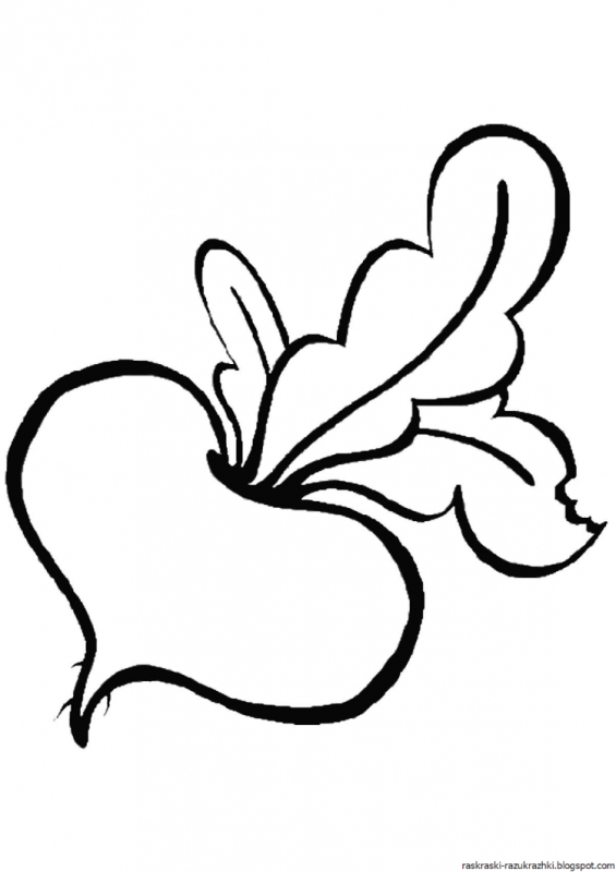 Репка овощ раскраска для детей