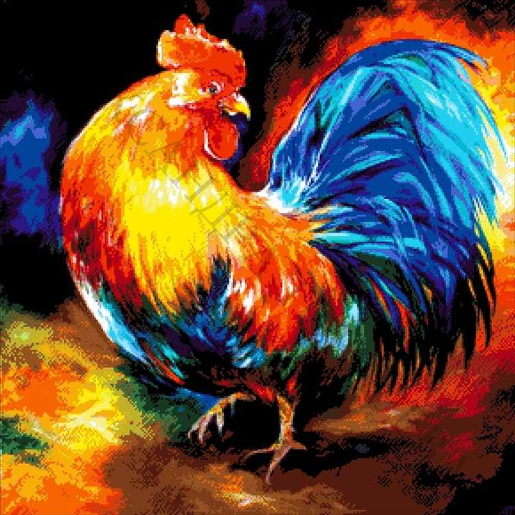 Петух эскиз