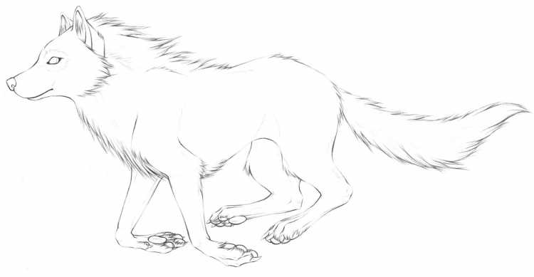 Бегущий волк рисунок
