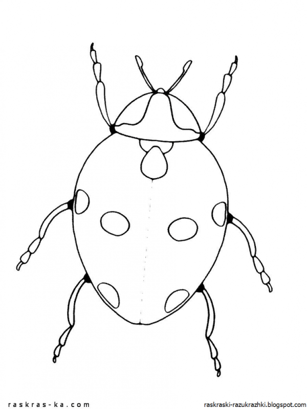 Насекомые раскраска для детей 6-7
