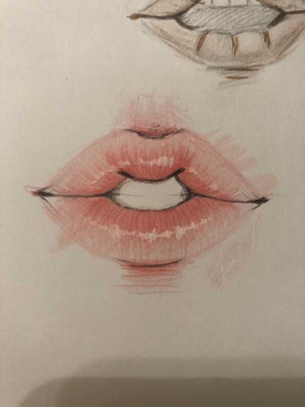 Зарисовки губ