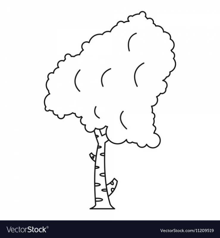 Осина раскраска