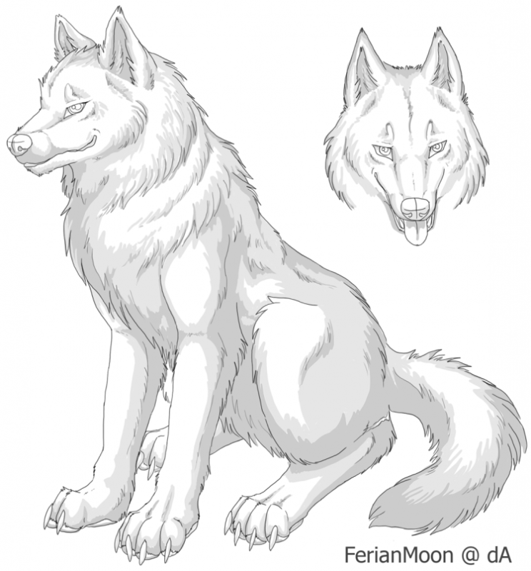 Волк сбоку рисунок