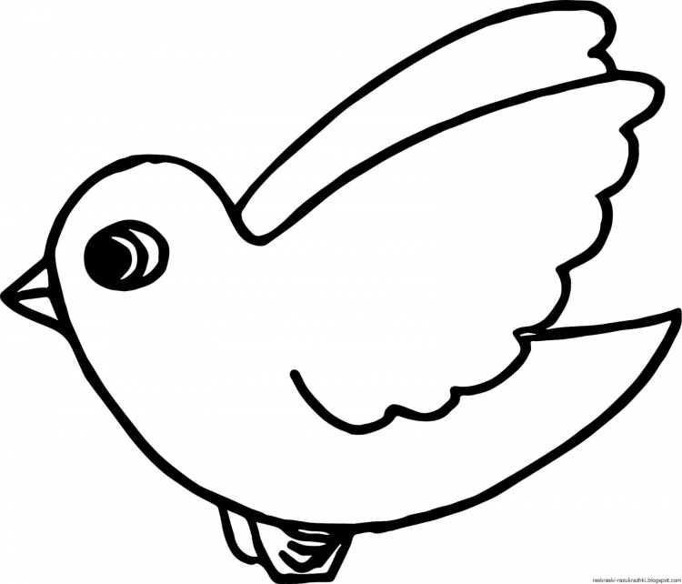 Раскраски антистресс птицы