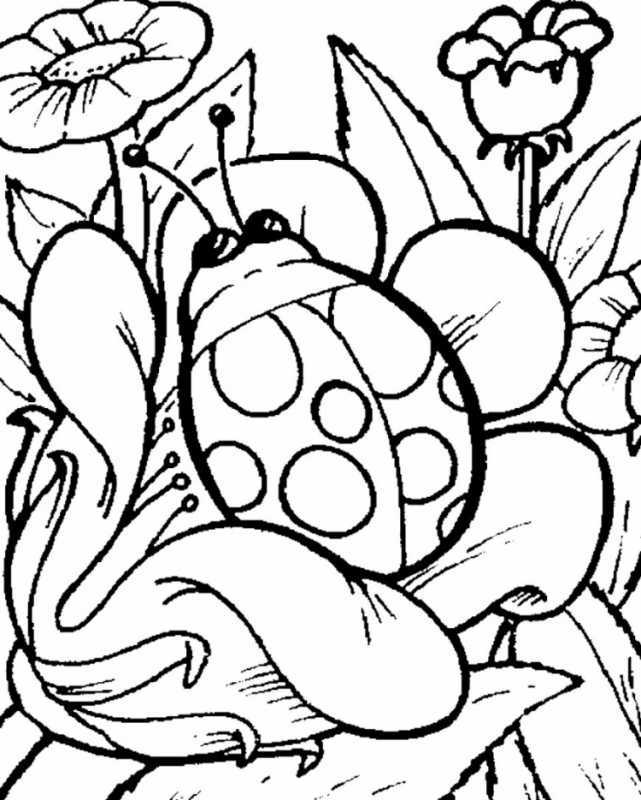 Жучок для детей раскраска Божья коровка